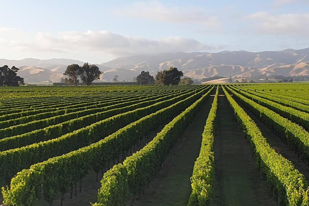 Luxury Cottage With Stunning Vineyard Views Renwick Exterior photo