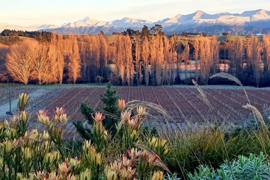 Luxury Cottage With Stunning Vineyard Views Renwick Exterior photo